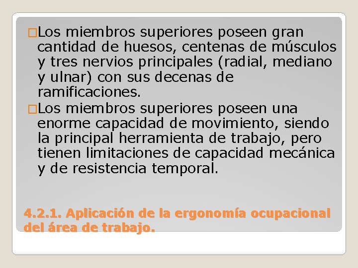 �Los miembros superiores poseen gran cantidad de huesos, centenas de músculos y tres nervios