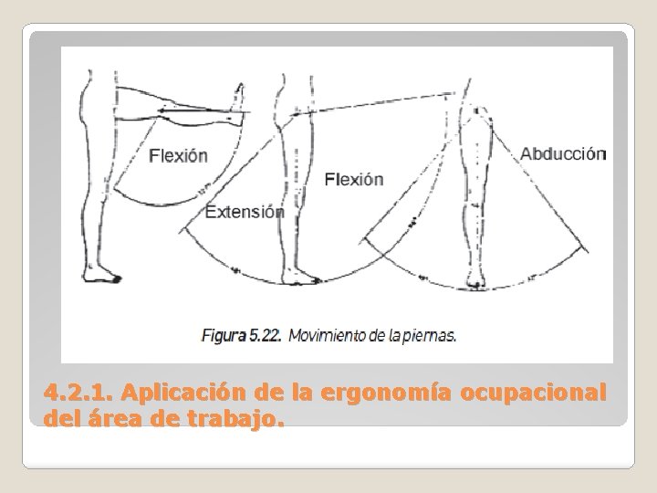 4. 2. 1. Aplicación de la ergonomía ocupacional del área de trabajo. 