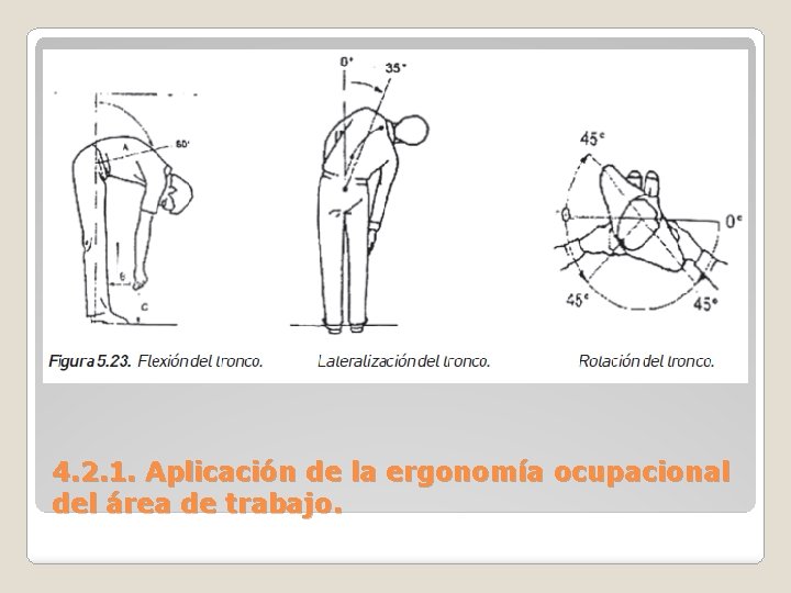 4. 2. 1. Aplicación de la ergonomía ocupacional del área de trabajo. 