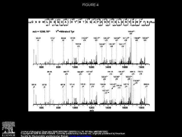 FIGURE 4 Journal of Biological Chemistry 2008 28327991 -28003 DOI: (10. 1074/jbc. M 802691200)