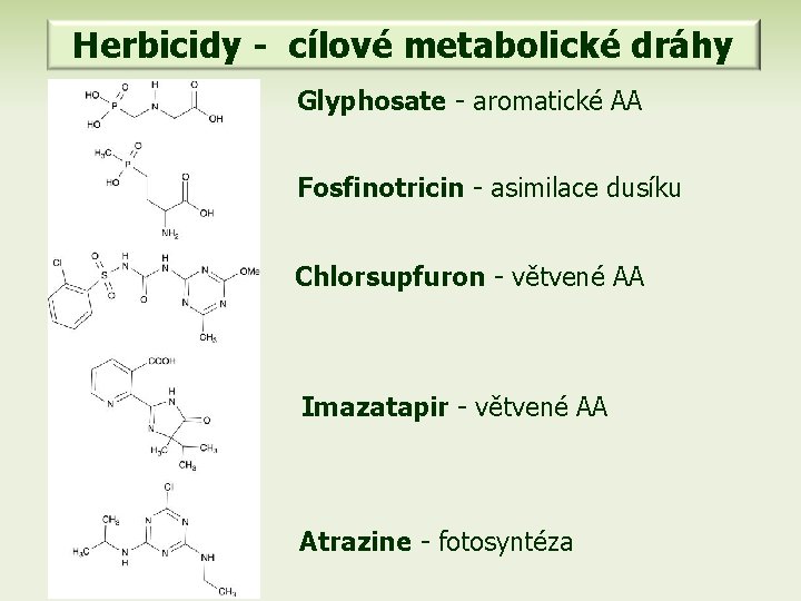 Herbicidy - cílové metabolické dráhy Glyphosate - aromatické AA Fosfinotricin - asimilace dusíku Chlorsupfuron