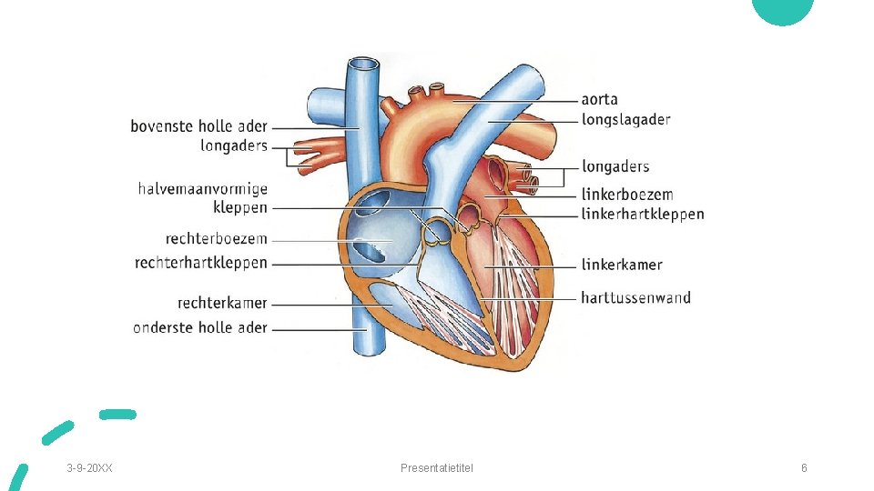 3 -9 -20 XX Presentatietitel 6 