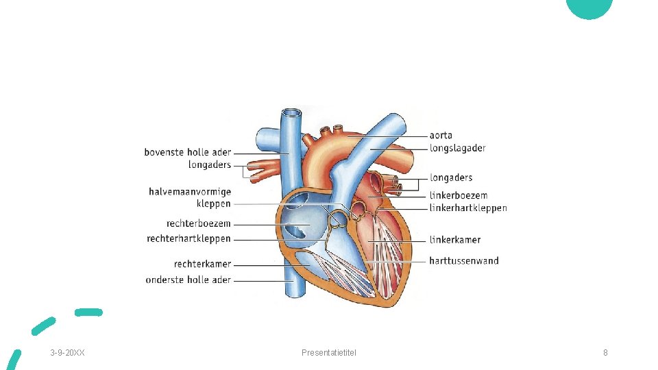3 -9 -20 XX Presentatietitel 8 