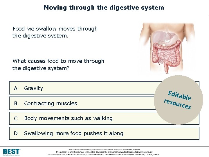 Moving through the digestive system Food we swallow moves through the digestive system. What
