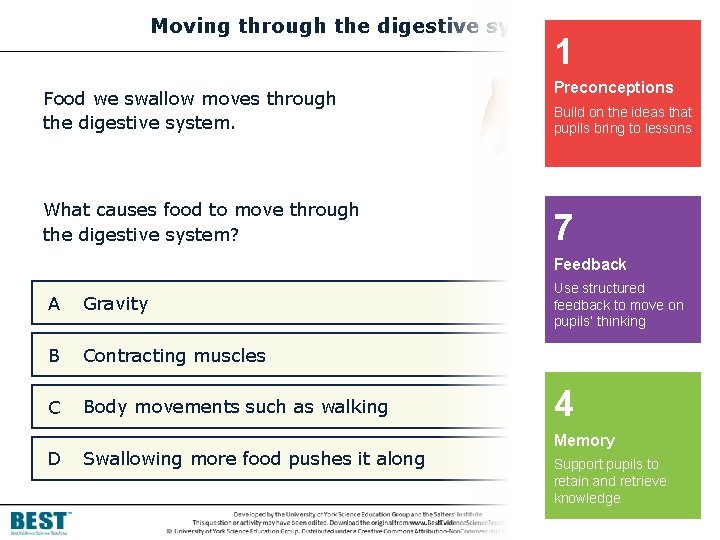 Moving through the digestive system 1 Food we swallow moves through the digestive system.