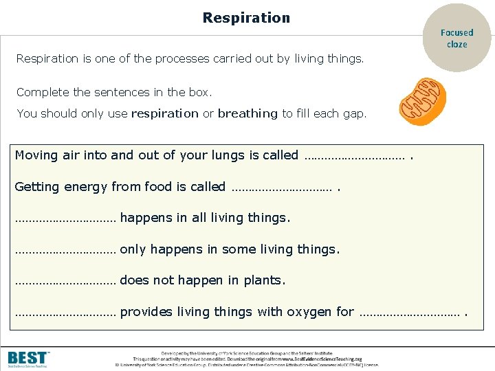 Respiration Focused cloze Respiration is one of the processes carried out by living things.