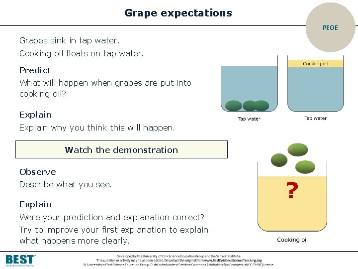 Grape expectations PEOE Grapes sink in tap water. Cooking oil floats on tap water.