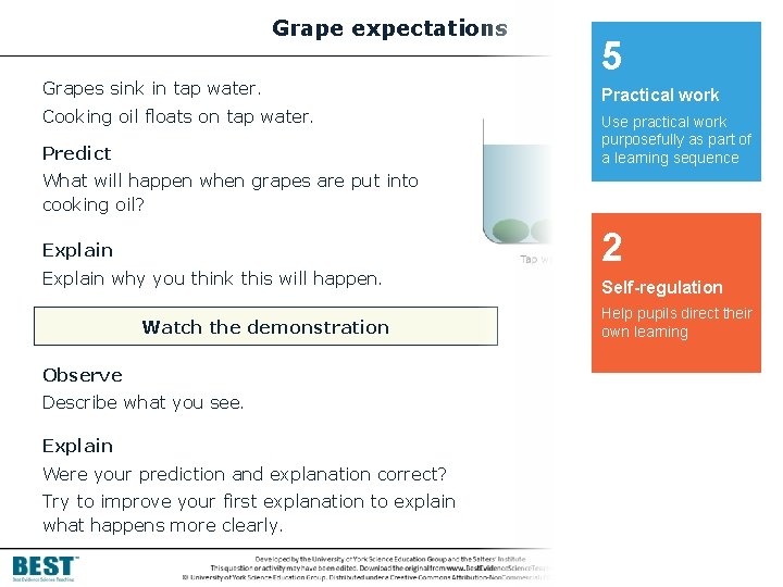 Grape expectations Grapes sink in tap water. Cooking oil floats on tap water. Predict