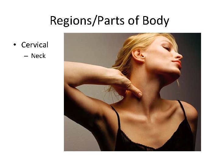 Regions/Parts of Body • Cervical – Neck 