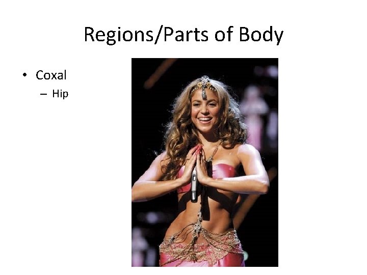 Regions/Parts of Body • Coxal – Hip 