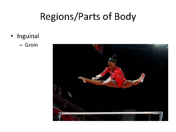Regions/Parts of Body • Inguinal – Groin 