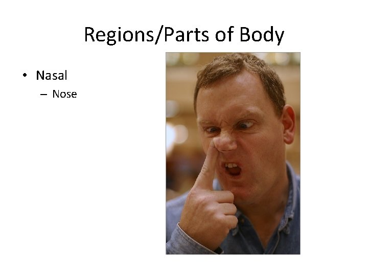 Regions/Parts of Body • Nasal – Nose 