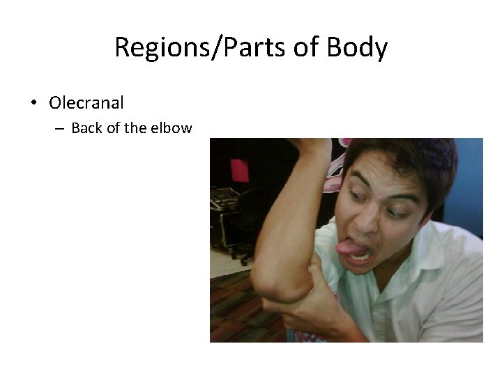 Regions/Parts of Body • Olecranal – Back of the elbow 