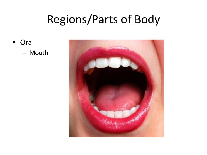 Regions/Parts of Body • Oral – Mouth 
