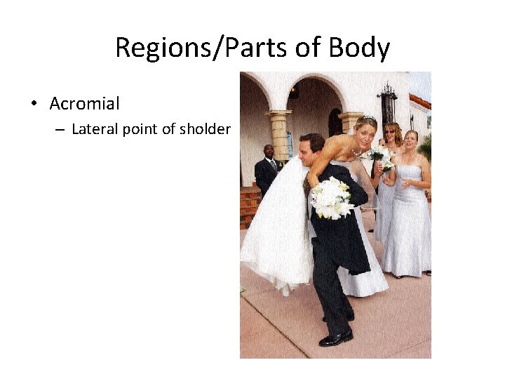 Regions/Parts of Body • Acromial – Lateral point of sholder 