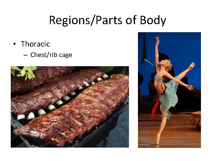 Regions/Parts of Body • Thoracic – Chest/rib cage 