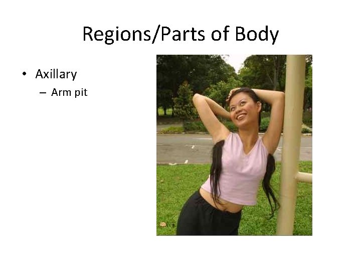 Regions/Parts of Body • Axillary – Arm pit 