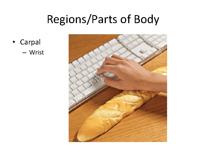 Regions/Parts of Body • Carpal – Wrist 