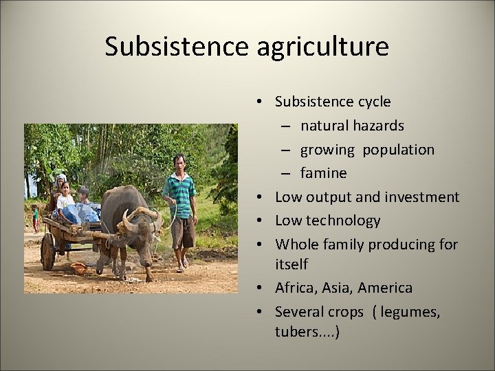 Subsistence agriculture • Subsistence cycle – natural hazards – growing population – famine •