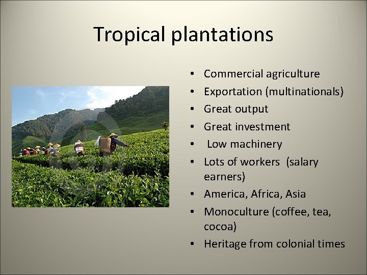 Tropical plantations Commercial agriculture Exportation (multinationals) Great output Great investment Low machinery Lots of