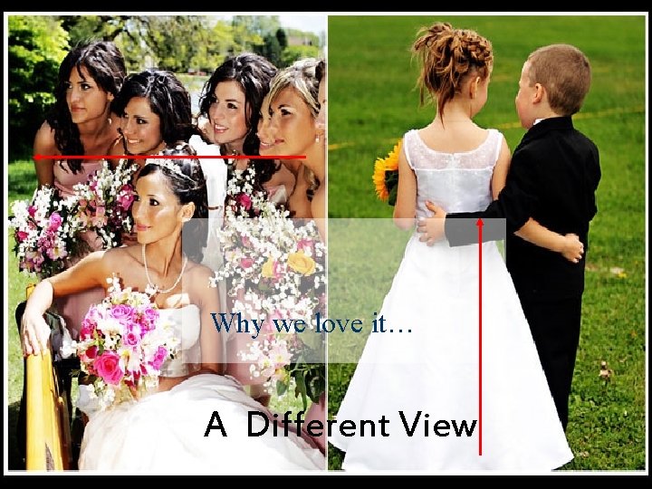 Why we love it… A Different View Why we love it… A Different View