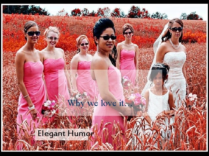 Why we love it… Elegant Humor Why we love it… Elegant Humor