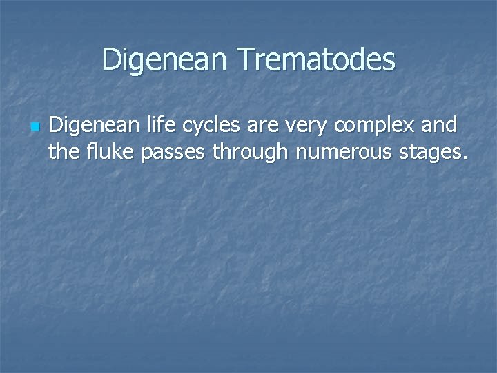 Digenean Trematodes n Digenean life cycles are very complex and the fluke passes through