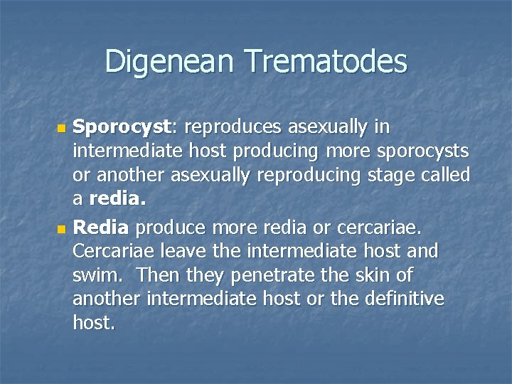 Digenean Trematodes Sporocyst: reproduces asexually in intermediate host producing more sporocysts or another asexually