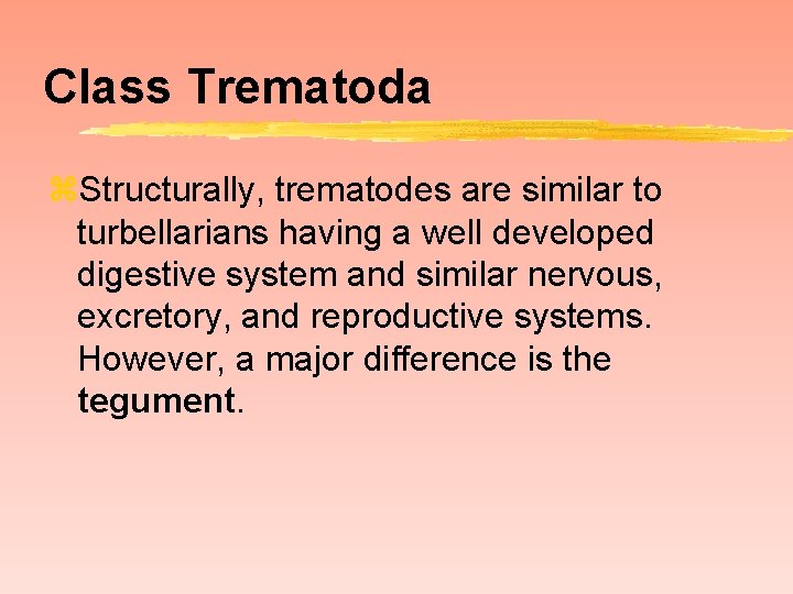 Class Trematoda z. Structurally, trematodes are similar to turbellarians having a well developed digestive