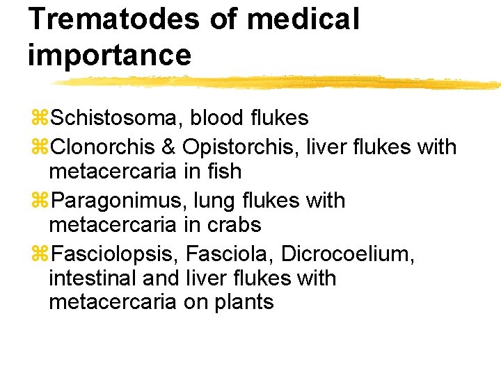 Trematodes of medical importance z. Schistosoma, blood flukes z. Clonorchis & Opistorchis, liver flukes