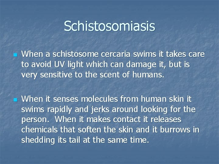 Schistosomiasis n n When a schistosome cercaria swims it takes care to avoid UV