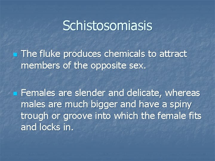 Schistosomiasis n n The fluke produces chemicals to attract members of the opposite sex.