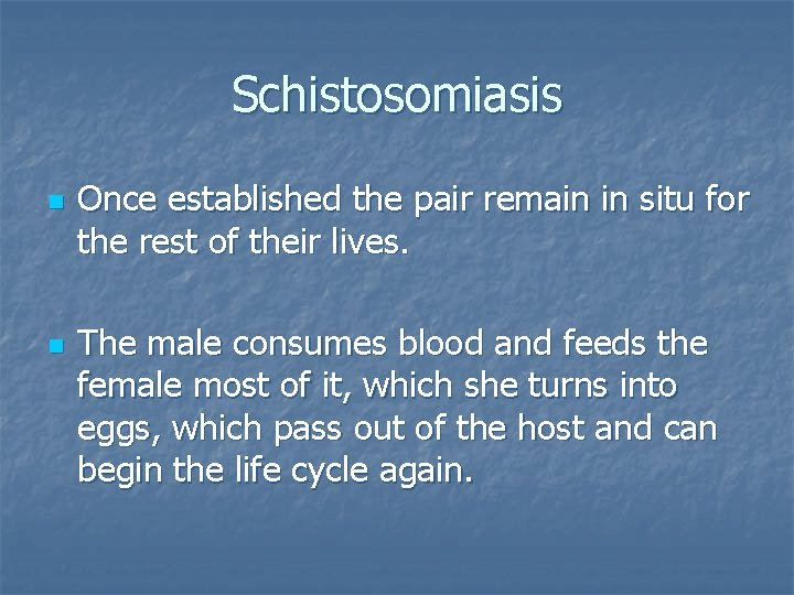 Schistosomiasis n n Once established the pair remain in situ for the rest of