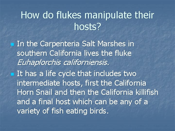 How do flukes manipulate their hosts? n In the Carpenteria Salt Marshes in southern