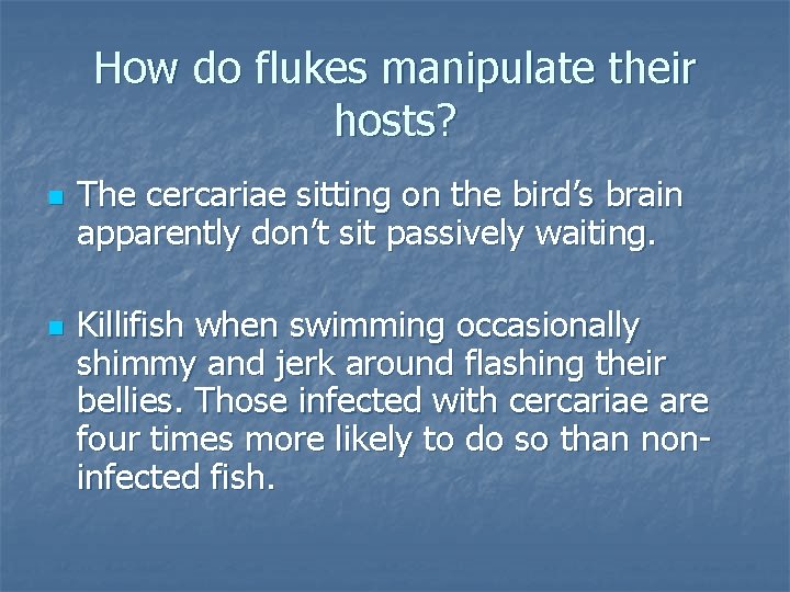 How do flukes manipulate their hosts? n n The cercariae sitting on the bird’s