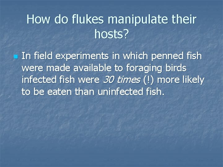 How do flukes manipulate their hosts? n In field experiments in which penned fish