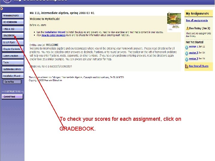 To check your scores for each assignment, click on GRADEBOOK. 