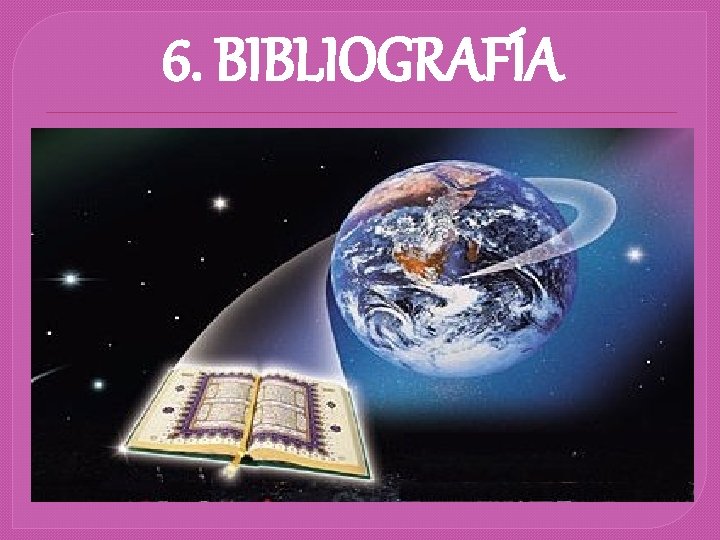 6. BIBLIOGRAFÍA 