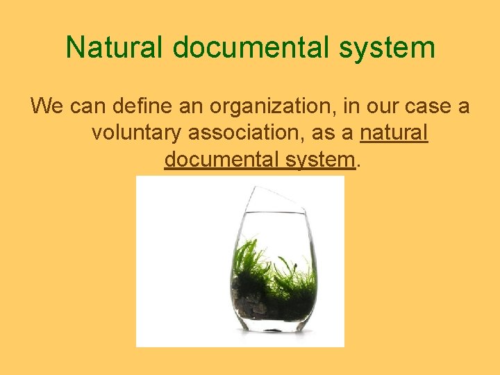 Natural documental system We can define an organization, in our case a voluntary association,