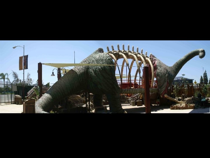 Dino. Quest at DSC 