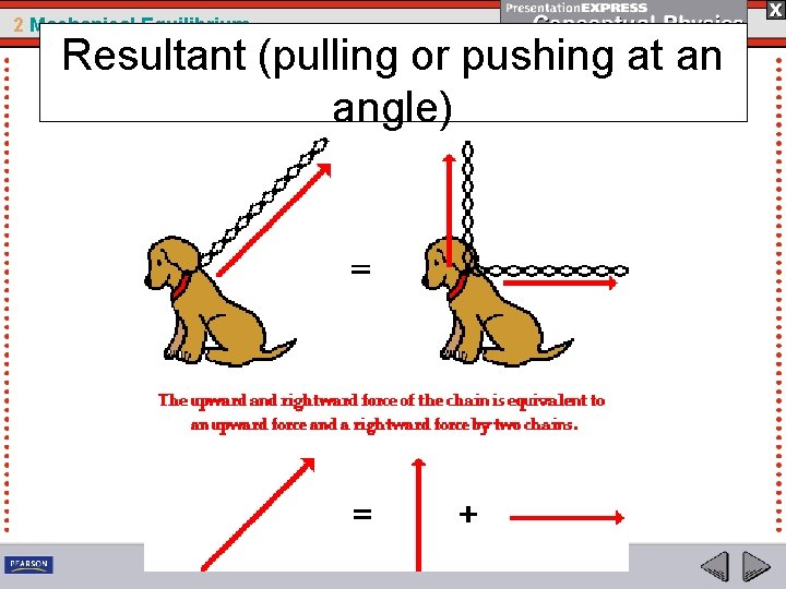 2 Mechanical Equilibrium Resultant (pulling or pushing at an angle) 