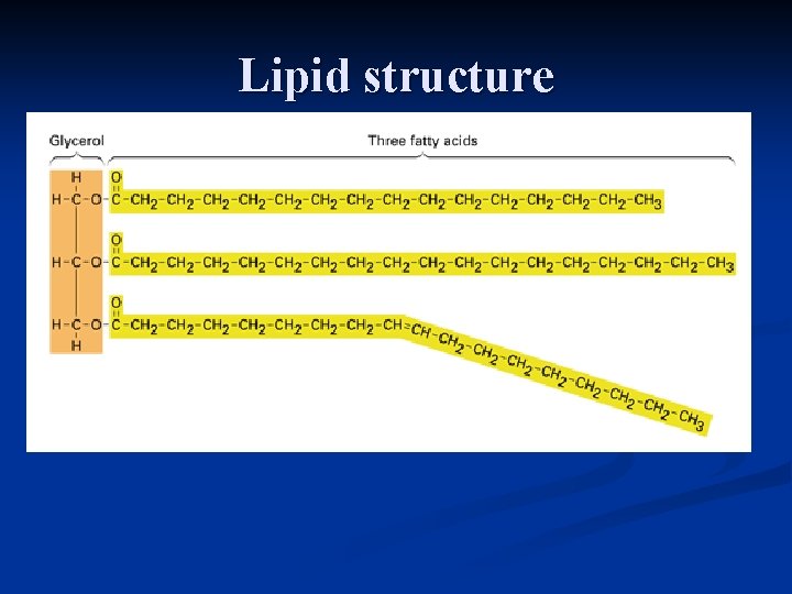 Lipid structure  Lipid structure