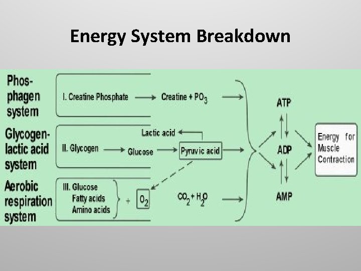 Energy System Breakdown 