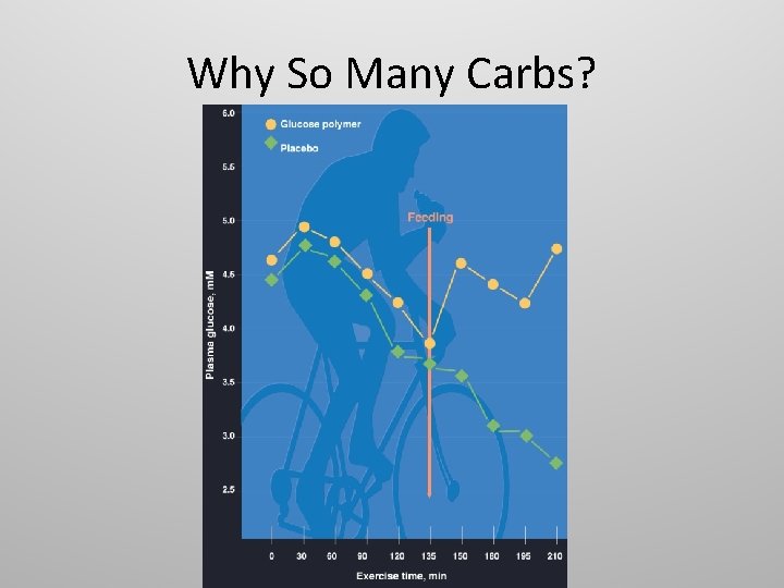 Why So Many Carbs? 