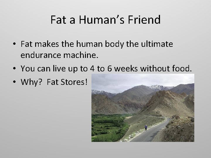Fat a Human’s Friend • Fat makes the human body the ultimate endurance machine.