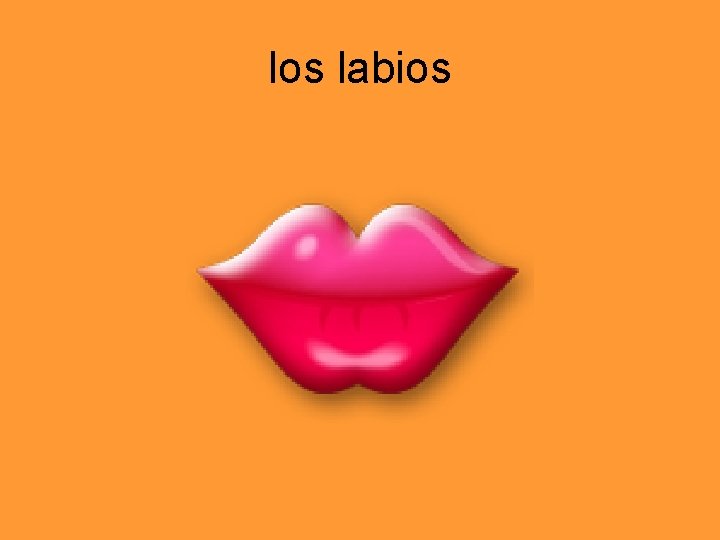 los labios 