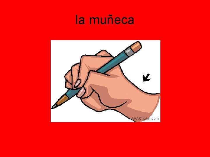  la muñeca 