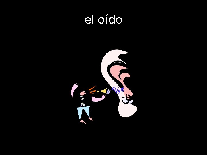 el oído 