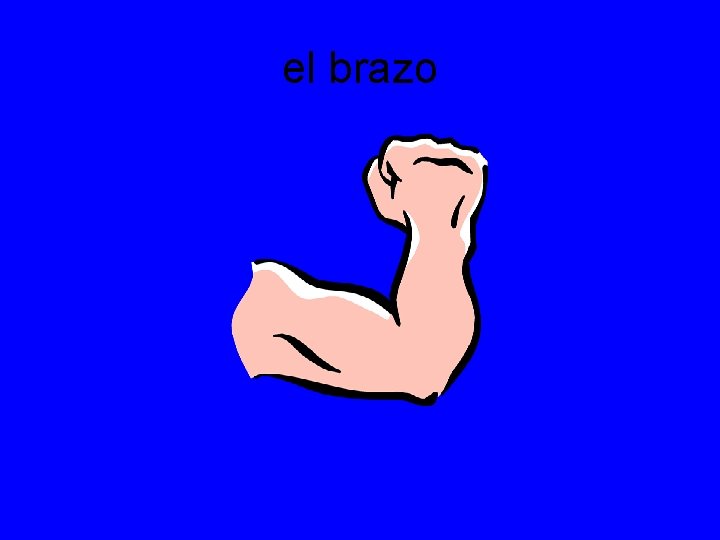 el brazo 