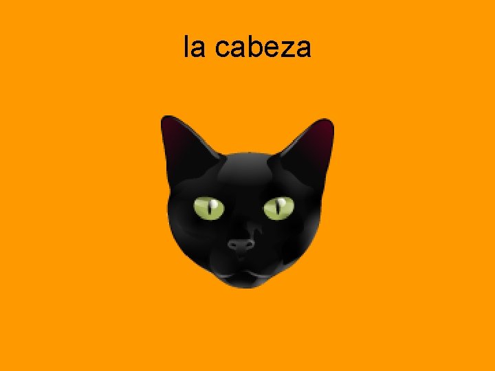 la cabeza 